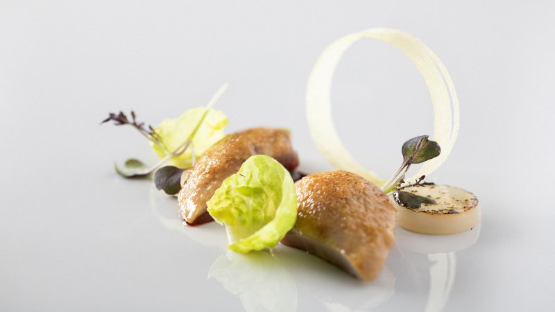 A plated main course from a fine dining pass